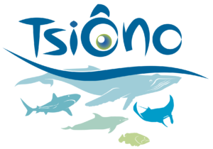 TsiOno